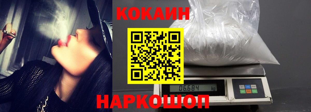 Новодвинск  закладки  Вход с VPN  COCAIN Fish Scale  КОКАИН 