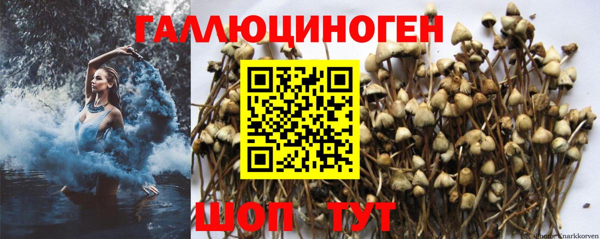 Псилоцибиновые грибы мухоморы  купить наркотик  Новодвинск  Вход с VPN 